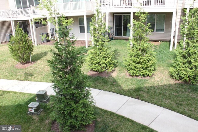 Building Photo - 4975 Longmire Wy