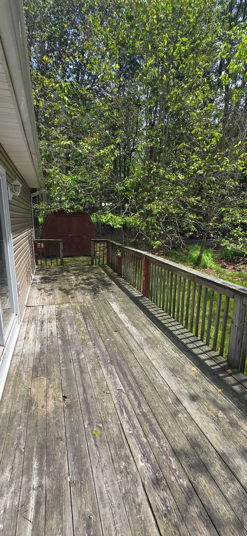 Building Photo - 3 Bedroom 1 Bath Contemporary in Amenity F...
