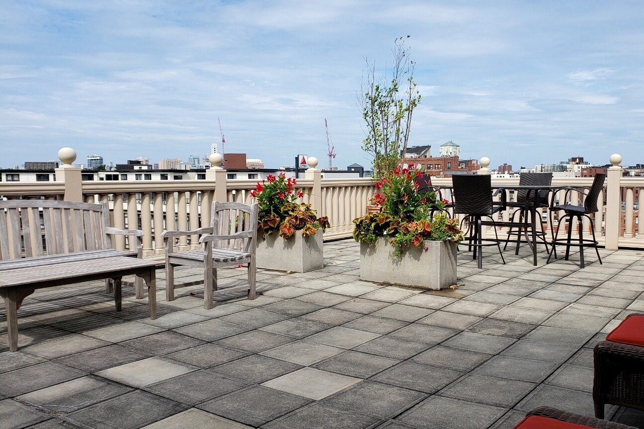 Building Photo - 185 Massachusetts Ave