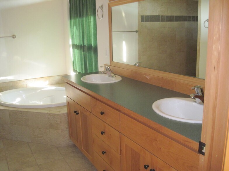 Primary Bathroom - 1381 Mingo Mountain Rd