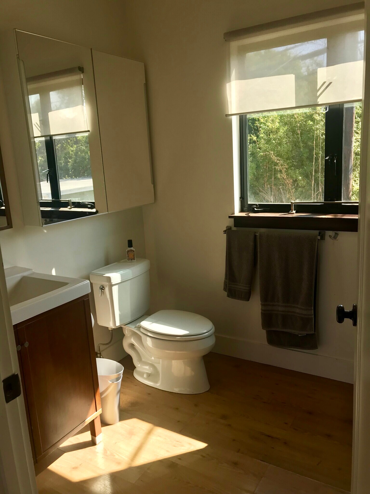 vanity, medicine cabinet, and fresh air - 1072 Amoroso Pl