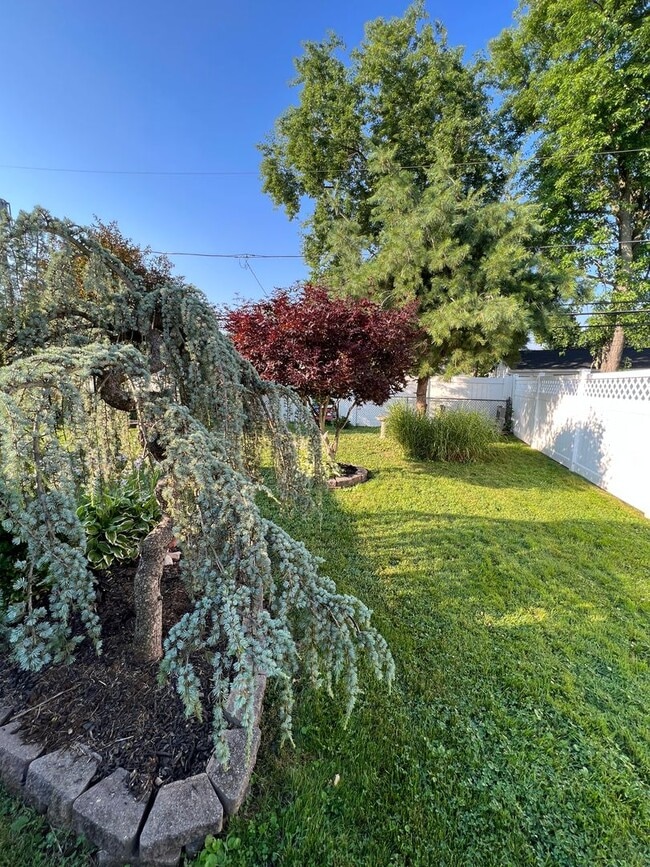 Building Photo - Beautiful Large 3 bedroom 2 bath in Levitt...