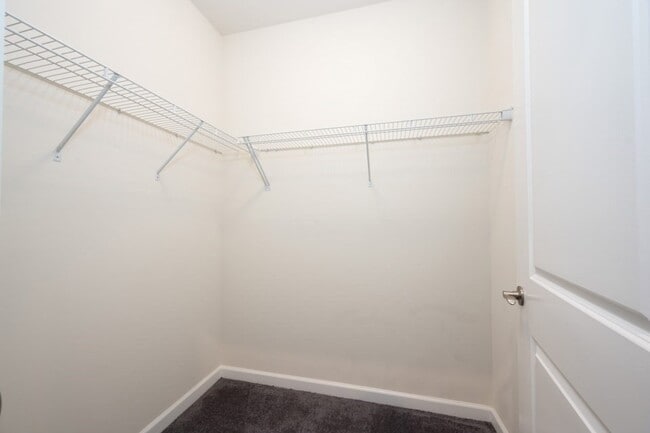 Building Photo - gymth