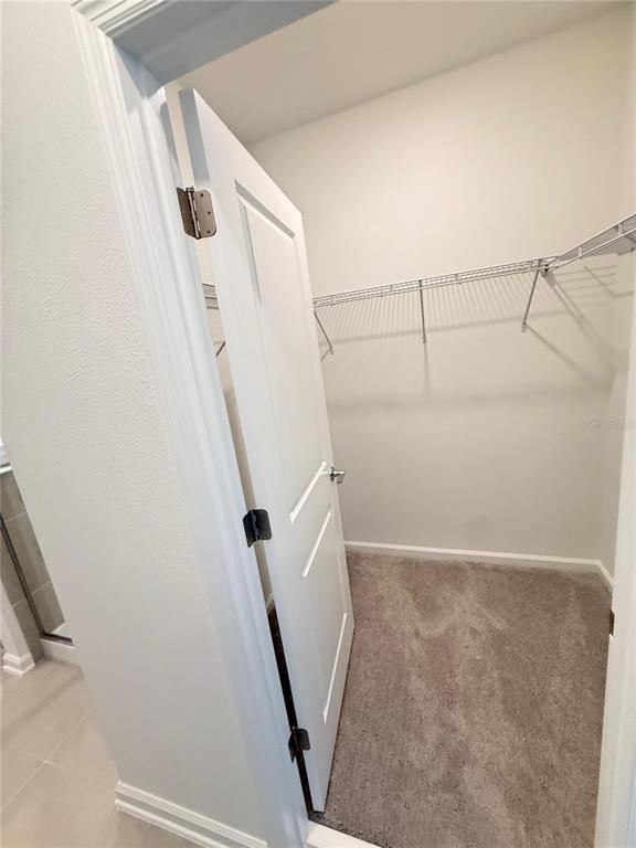 Building Photo - 2969 Good Vibes Wy