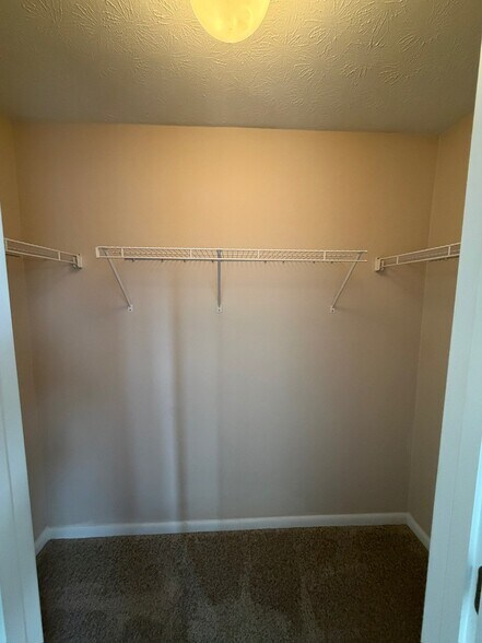 Guest Walk-in Closet - 533 Aspen Glen Dr