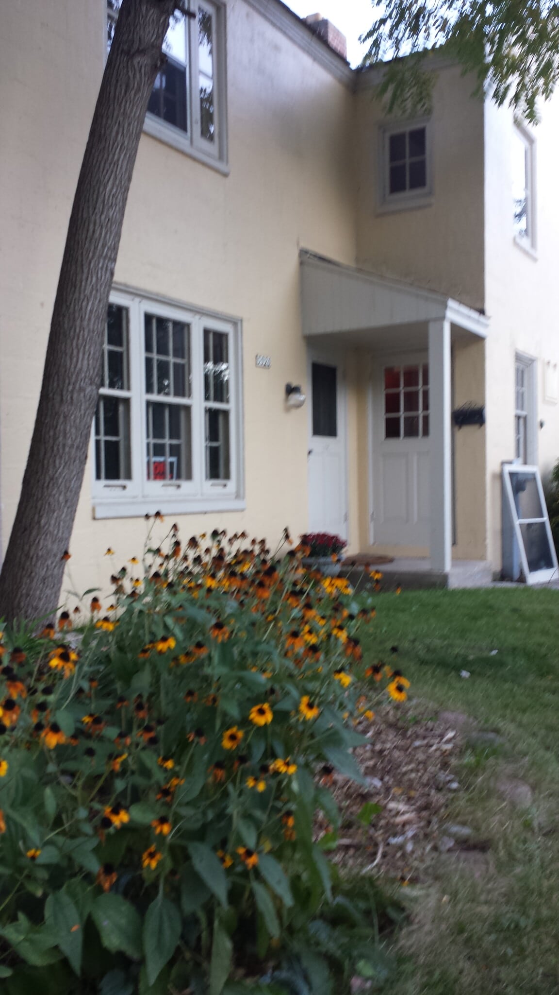 Building Photo - 5920 Dendron Ln