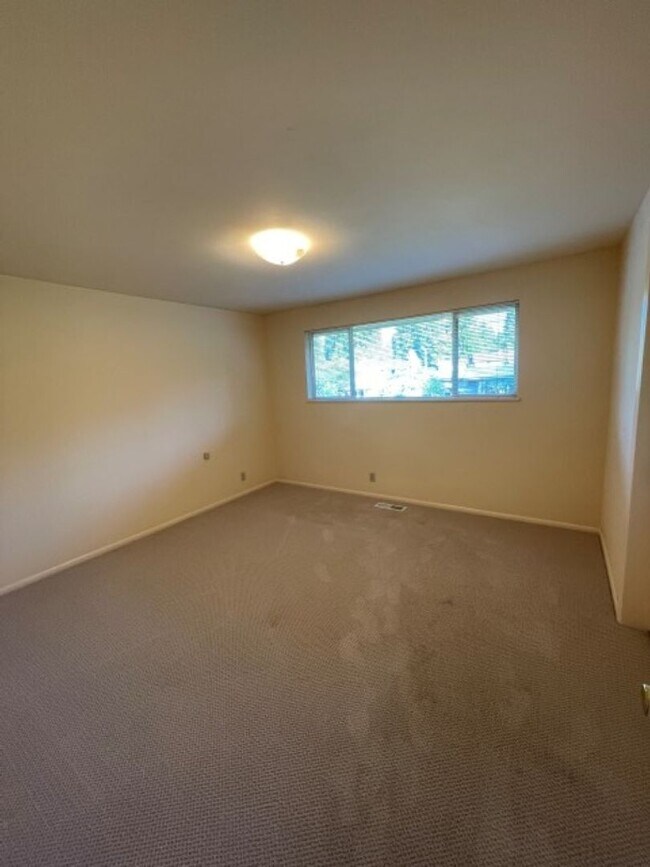 Building Photo - 3Bd/1.75Ba Shoreline House