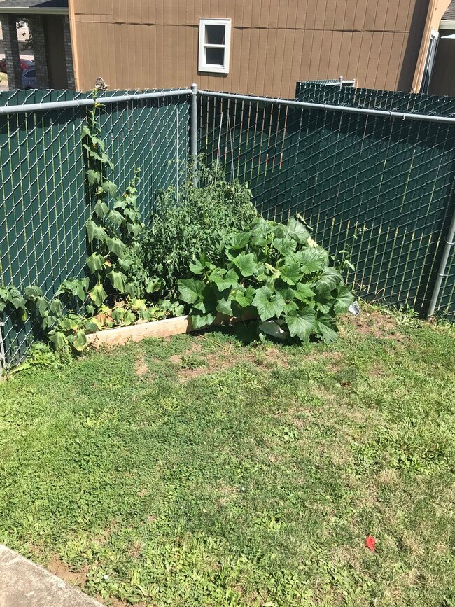 Building Photo - (SAM 15) 3 bedroom and 1.5 Bathroom duplex