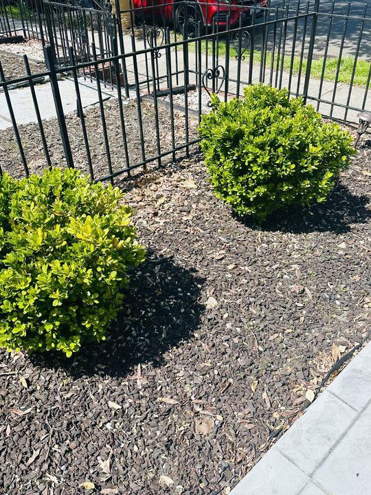 Building Photo - 1911 D St NE