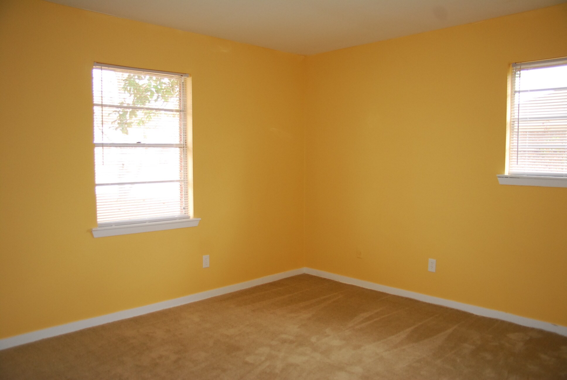 Building Photo - 2508 Halsel St