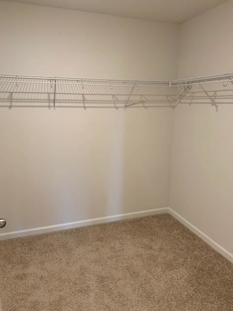 Building Photo - 4410 Marthas Vlg Ln