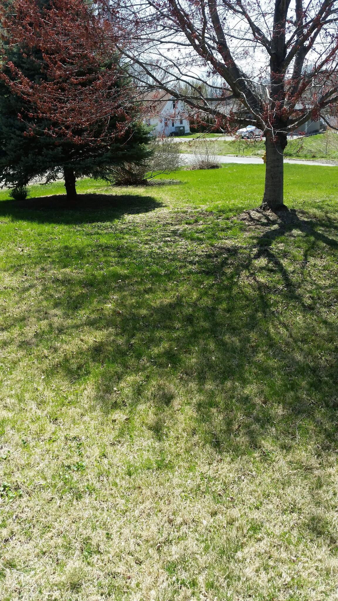 Building Photo - 2612 Erin