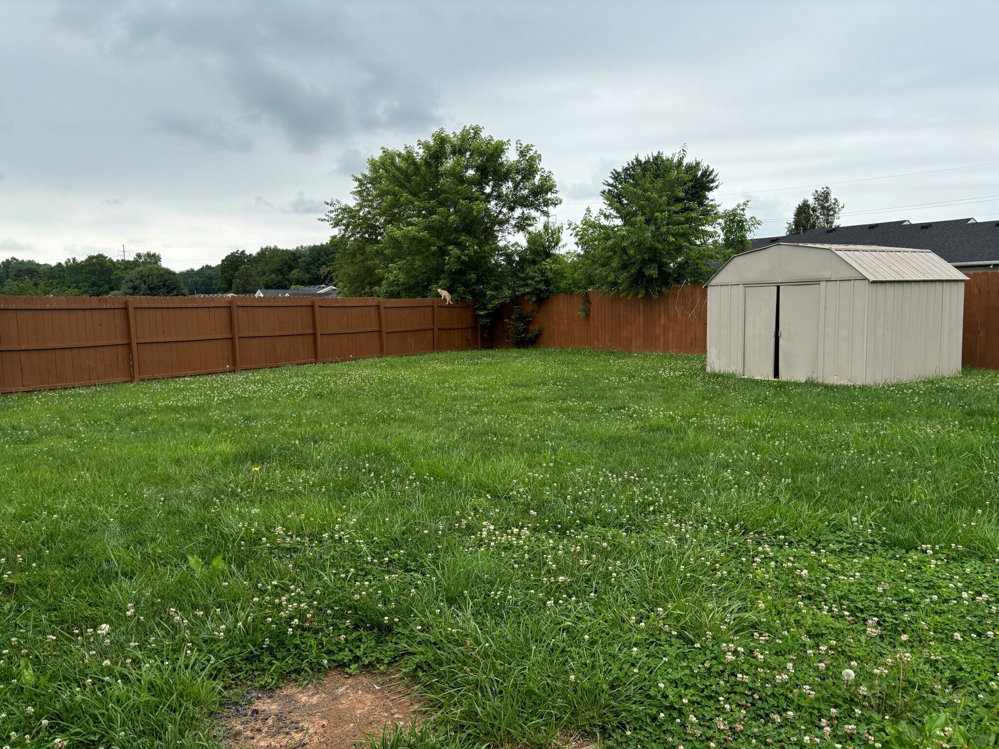 Building Photo - 428 Lincoln Ct