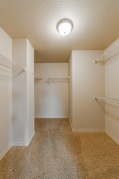 Master Walk in Closet - 11661 Black Maple Ln