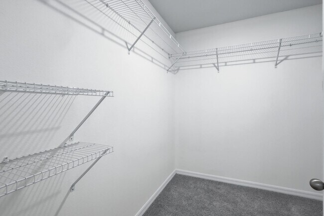 Building Photo - 1433 Princess Tree Ct