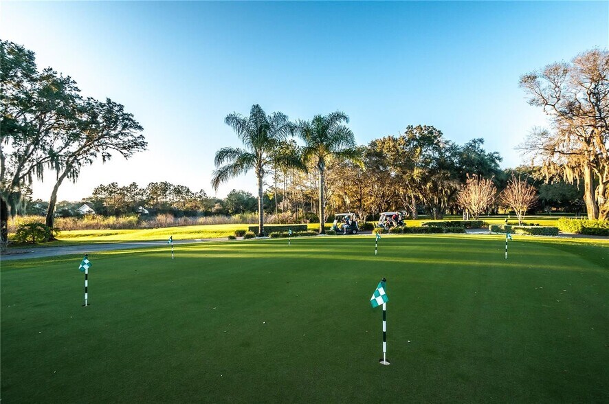 Golf - 9413 Summerbreeze Ter