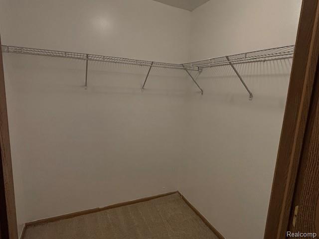 Building Photo - 879 Barren Oaks Dr