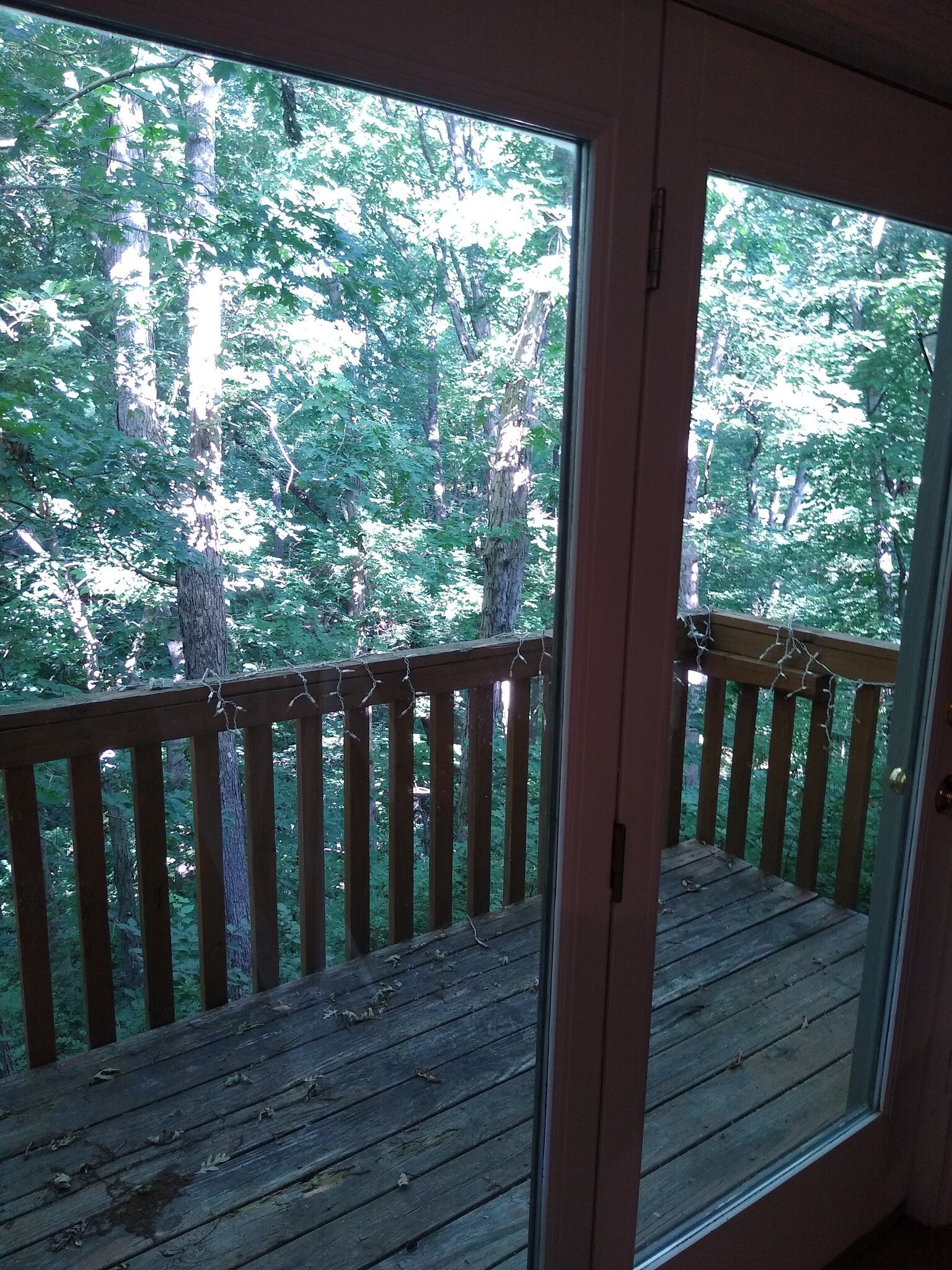 Building Photo - 3213 Belle Meade Dr