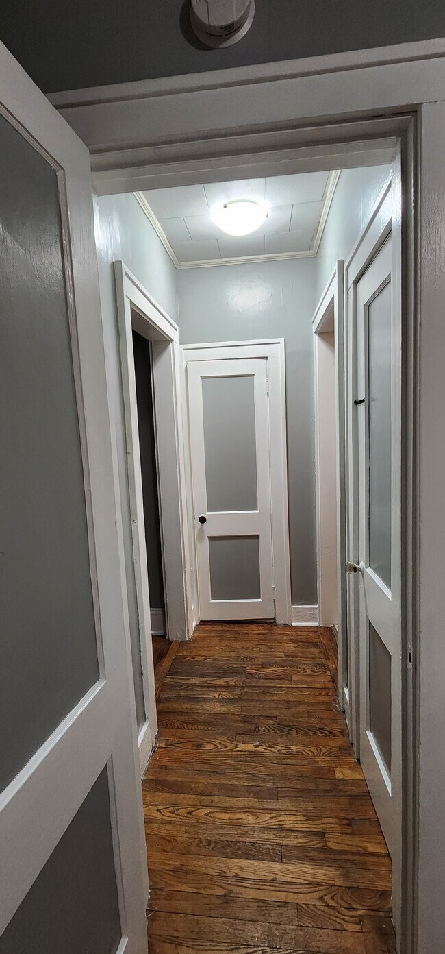 Hallway - 295 S Allen St