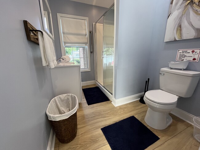 Bathroom - 207 Sawmill Ln