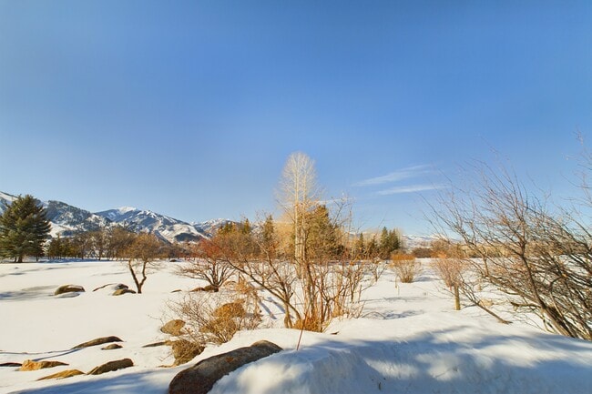 Building Photo - 209 E Reds Rd