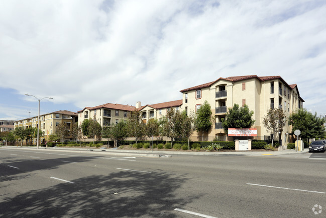 Primary Photo - Sungrove Senior Apartment Homes