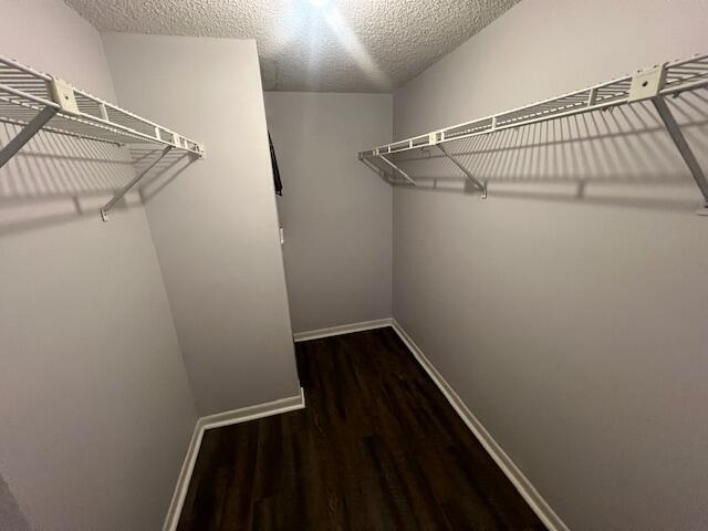 Building Photo - 2828 Casita Way