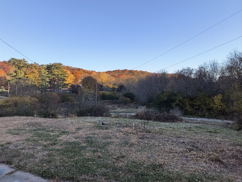 Building Photo - 2705 College Dr