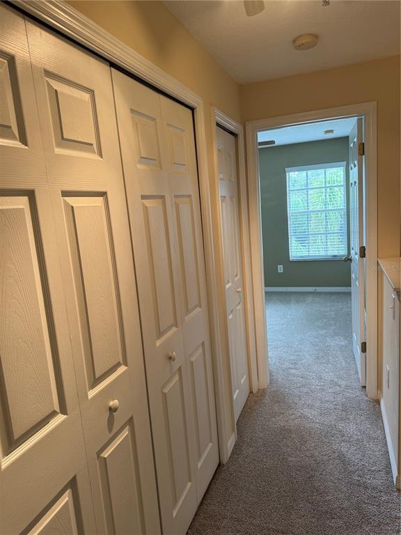 Building Photo - 2063 Fiesta Ridge Ct