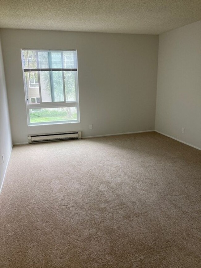 Building Photo - Updated extra large one bedroom at Woodlake