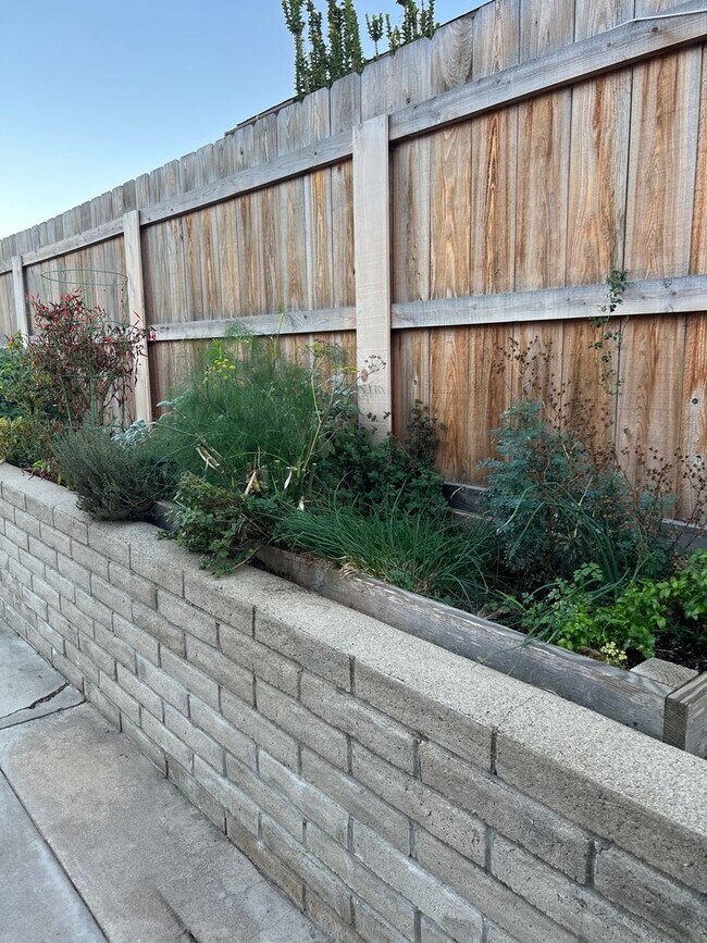 Building Photo - Rare Find!!!  Incredible 4  bedroom / 2 bath updated house in beautiful Clairemont!!!