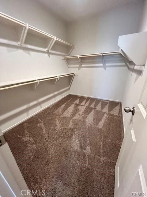 Building Photo - 1558 Babbling Brook Pl