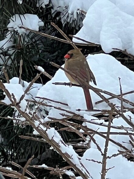 Building Photo - 16 Crooked Mile Rd