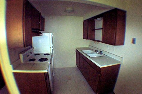 Kitchen - Flushing Village Apartments
