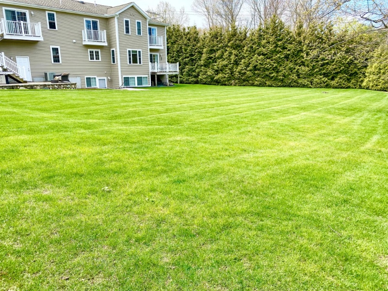 Building Photo - 1 Sorelle Pl