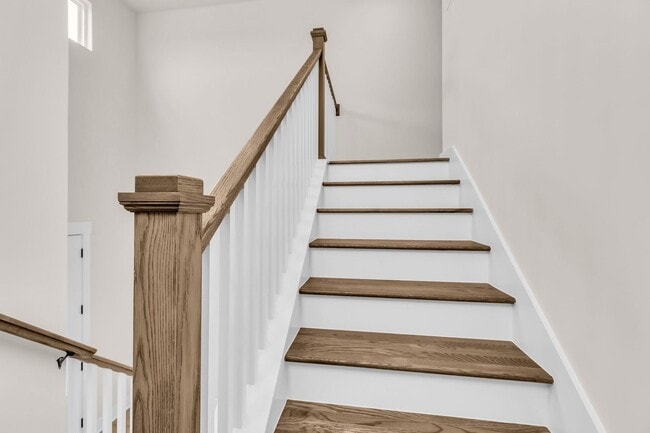 Building Photo - NEW BUILD