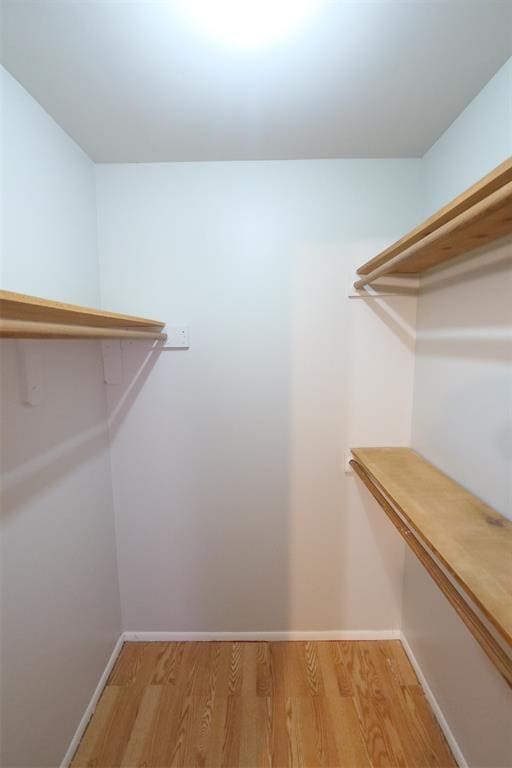 Building Photo - 13314 Ensley Wood Dr