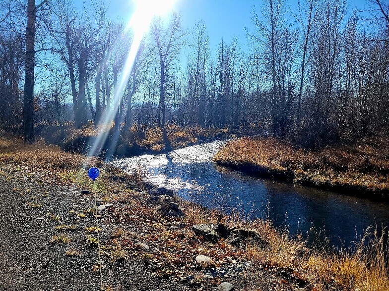 Building Photo - 135 Hideaway Dr