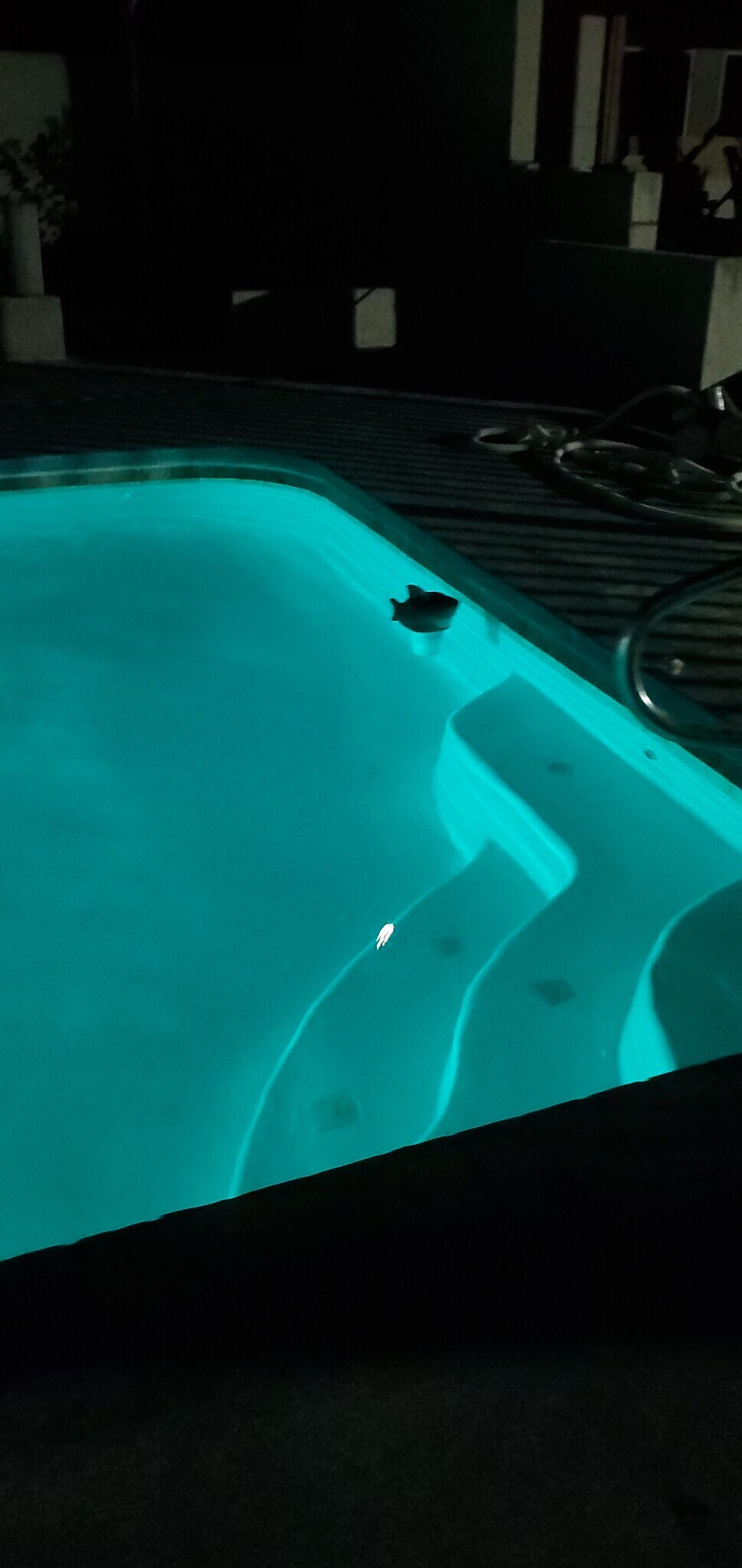 nightlight show in the pool - 6542 Sherry Ln