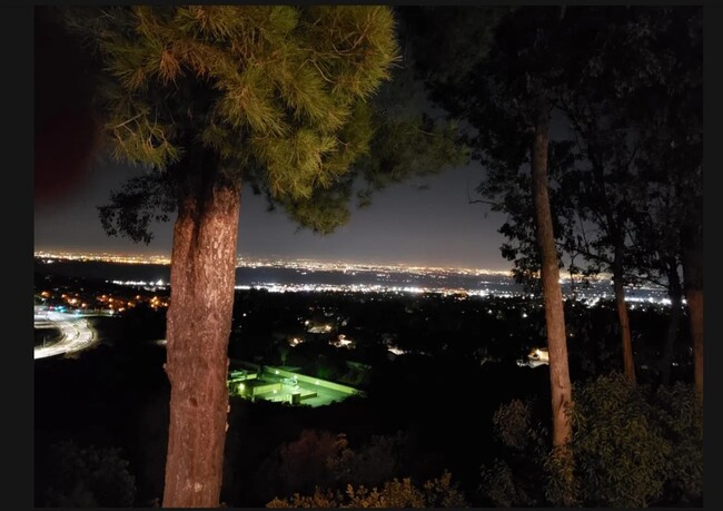 Building Photo - 2560 Avenida Del Vista