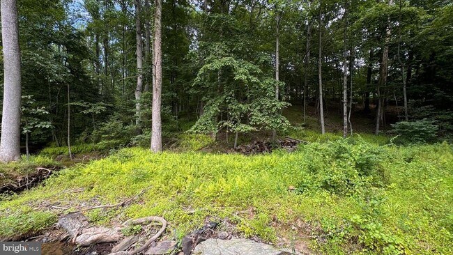Building Photo - 10899 Woodland Falls Dr