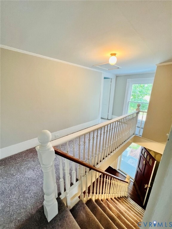 Building Photo - 2408 Ridge Rd