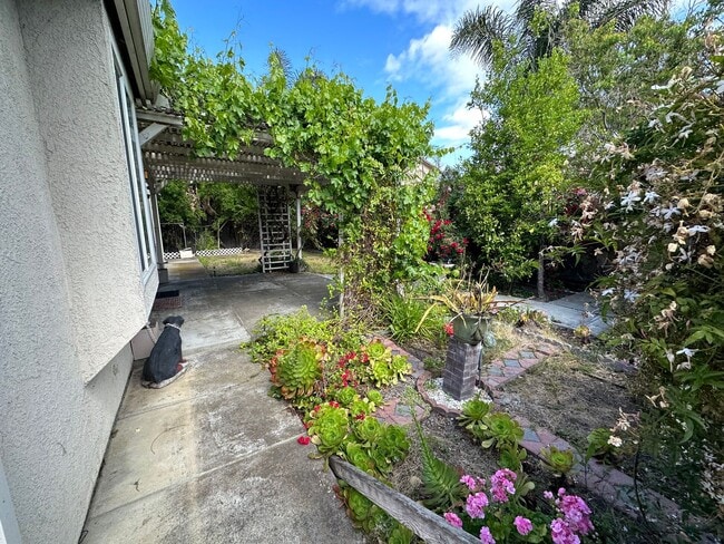 Building Photo - Beautiful 4 Bedroom 3 Full Bath Tracy Home