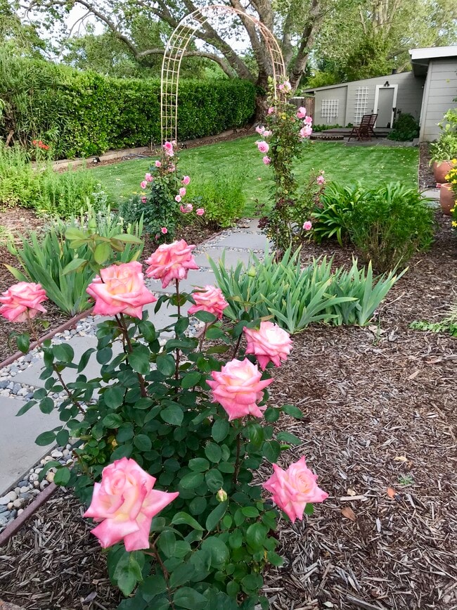 Building Photo - 3860 Linda Vista Ave