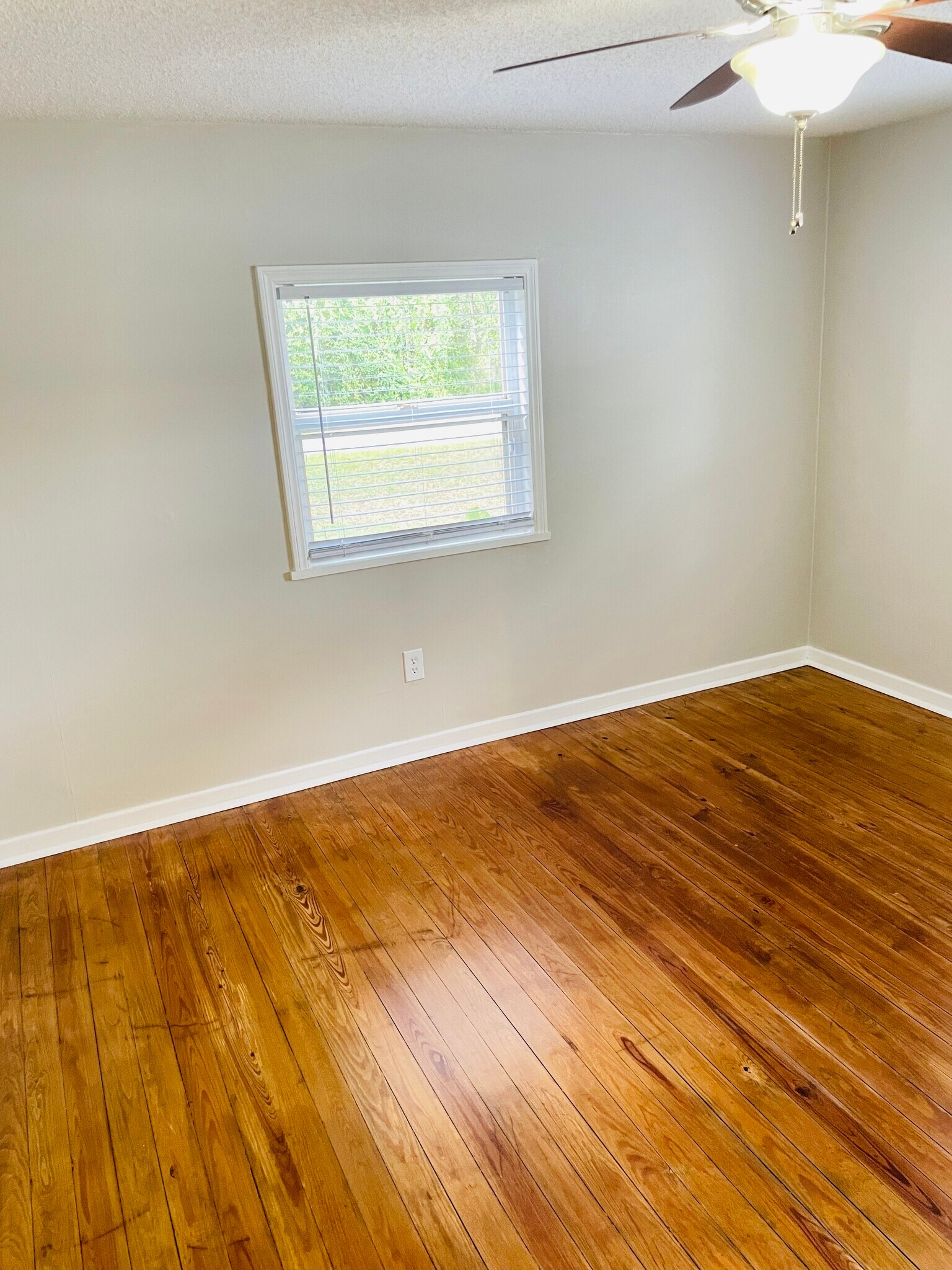 Building Photo - 939 E Bella Vista St