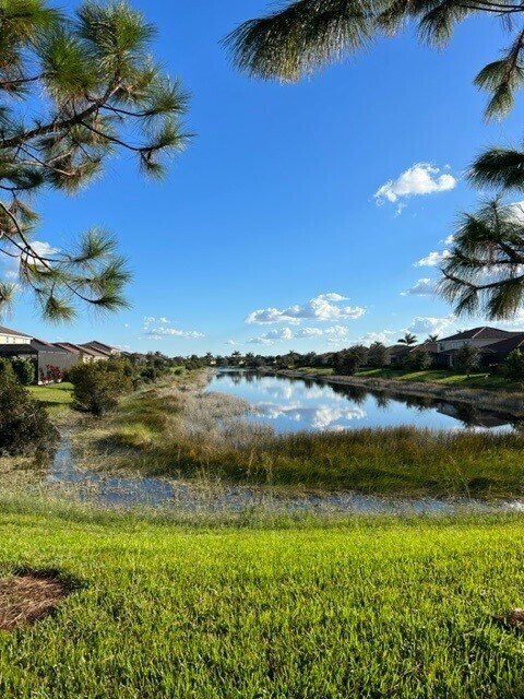 Neighborhood Lake - 2046 Mandarin Ln