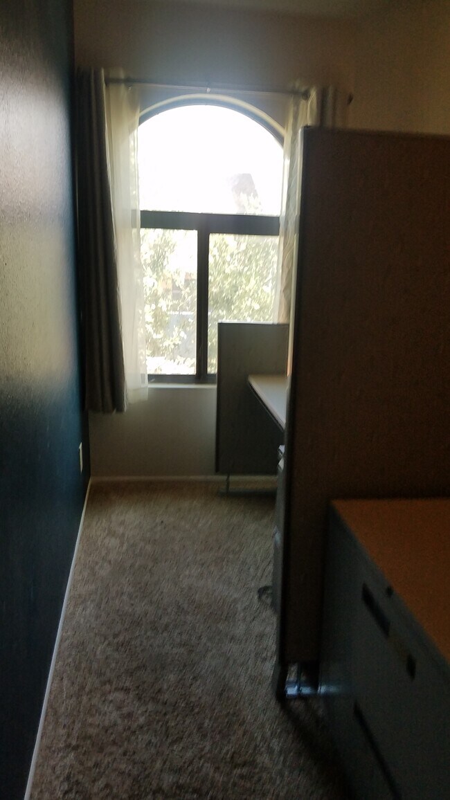 Building Photo - 3857 N Paseo de las Canchas