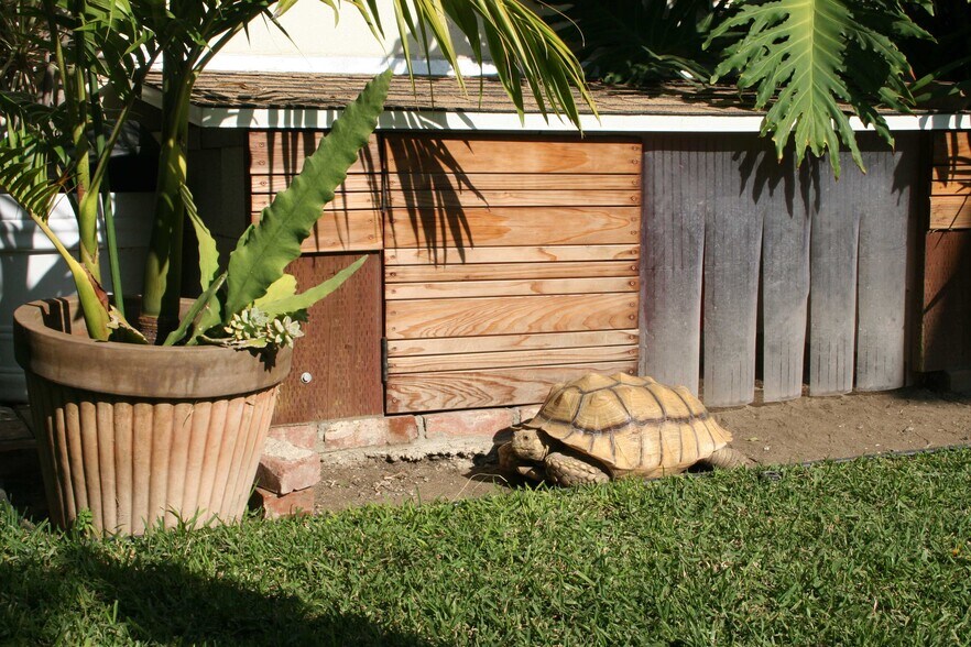 Building Photo - 831 Alandele Ave