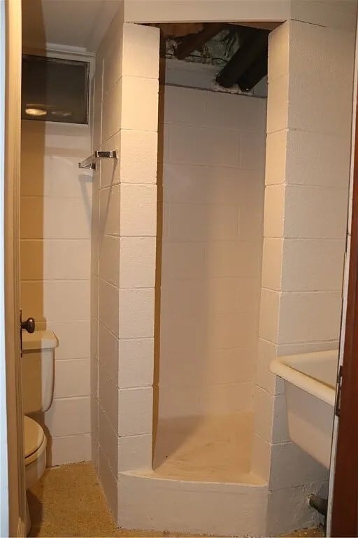Bathroom basement/off garage - 281 Lake Rd