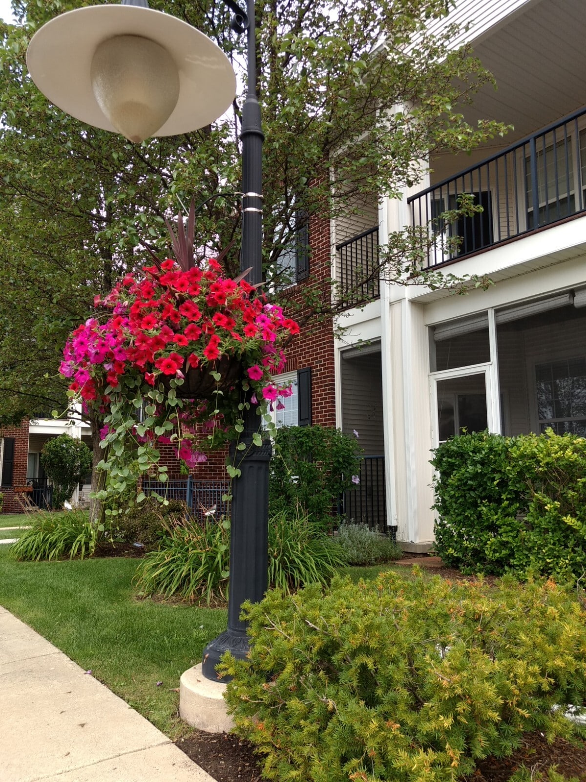 Building Photo - 273 Scio Village Ct